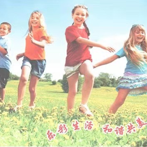 2000风量脉冲滤筒除尘器厂家